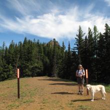 XYL Sharon + Dexter the SOTA Dog at TH.  Red Top Lookout in background.