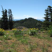 Teanaway Ridge scenes
