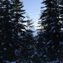 mount hood from wildcat