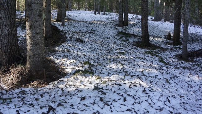 Uneven snowcover