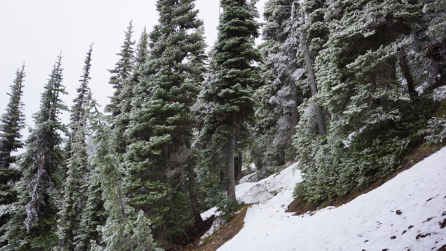 Trail, with snow