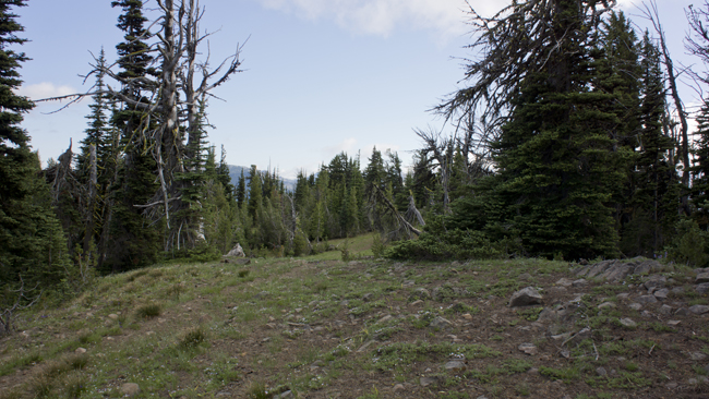 Looking towards the trailhead