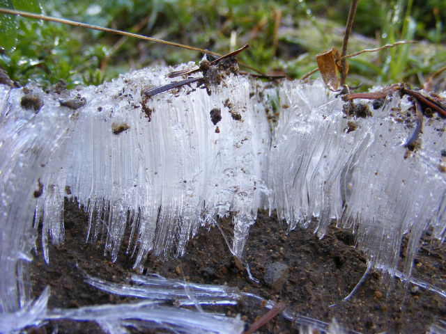 Ice needles