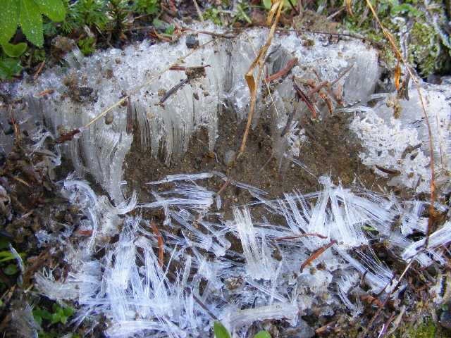 Ice needles