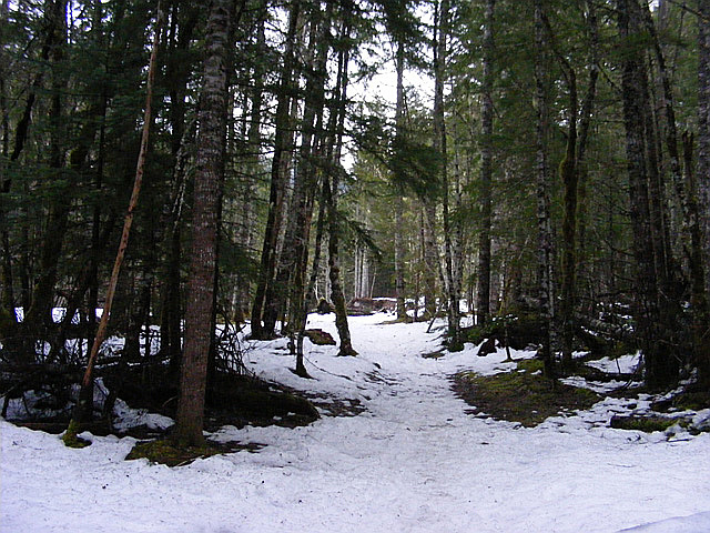 Trail next the creek