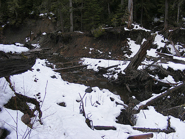 Bridge over Kautz creek