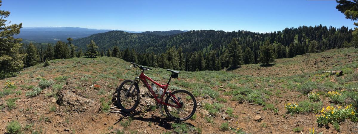 Biking back