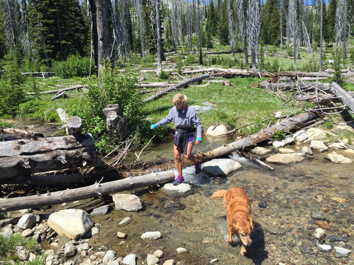 Creek Crossing