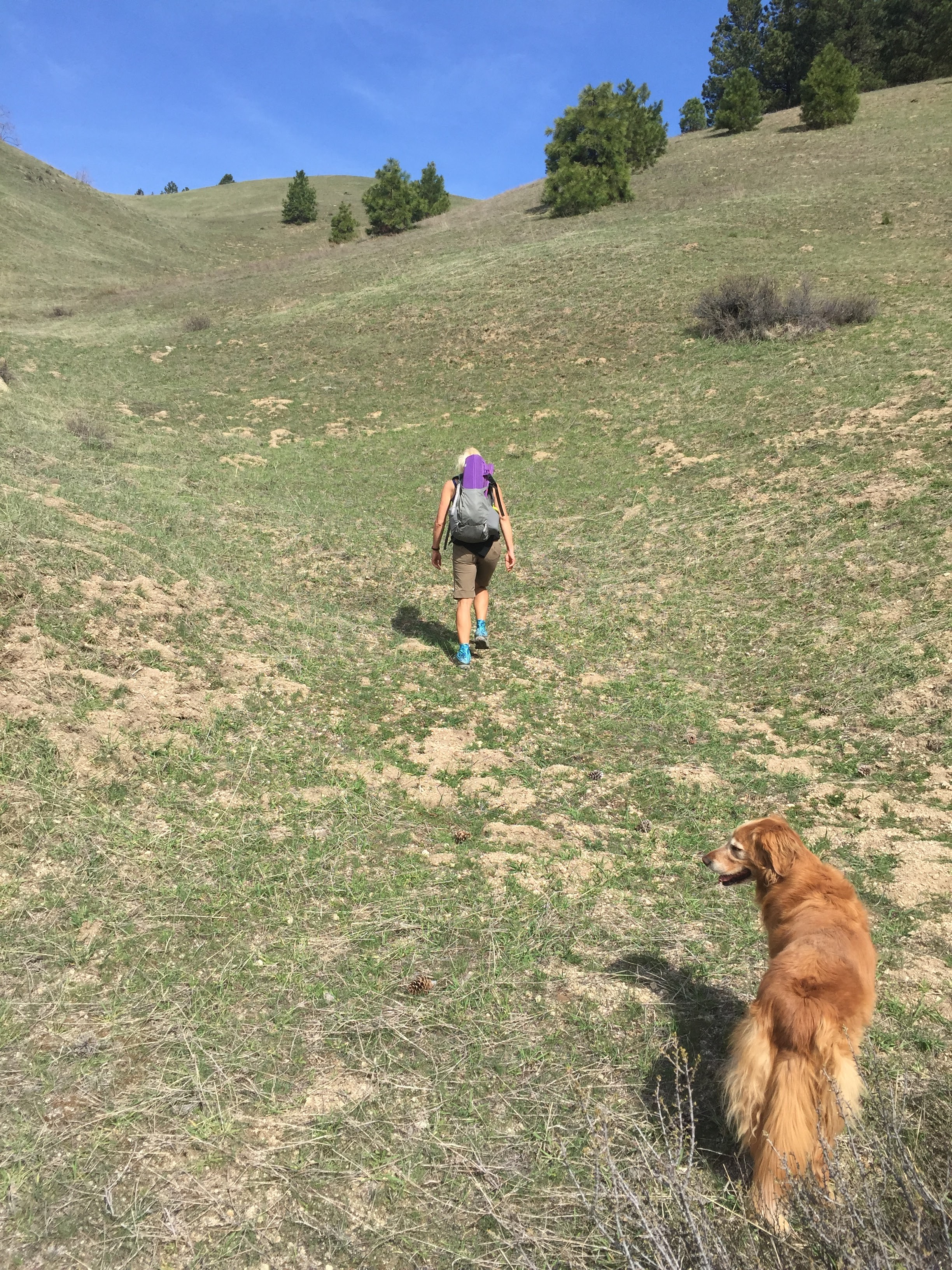 Hiking up slope to summit