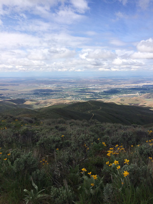 Looking back towards Boise