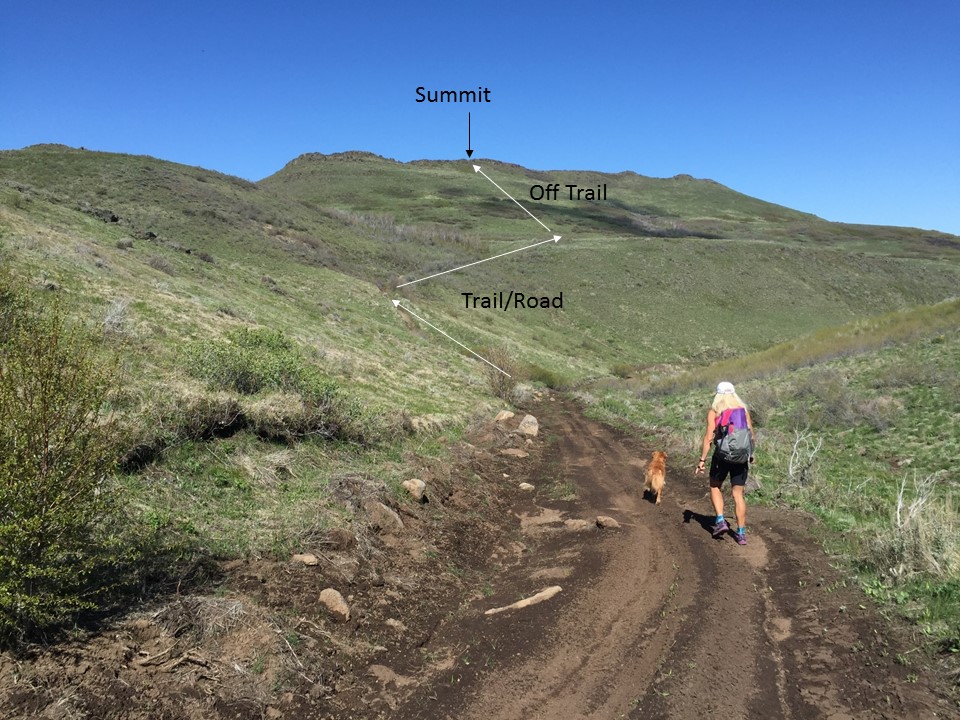 Final trail to summit