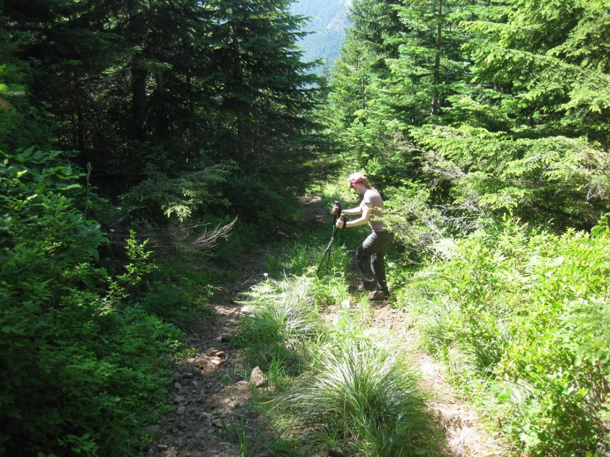 K7TAY climbing down jeep trail