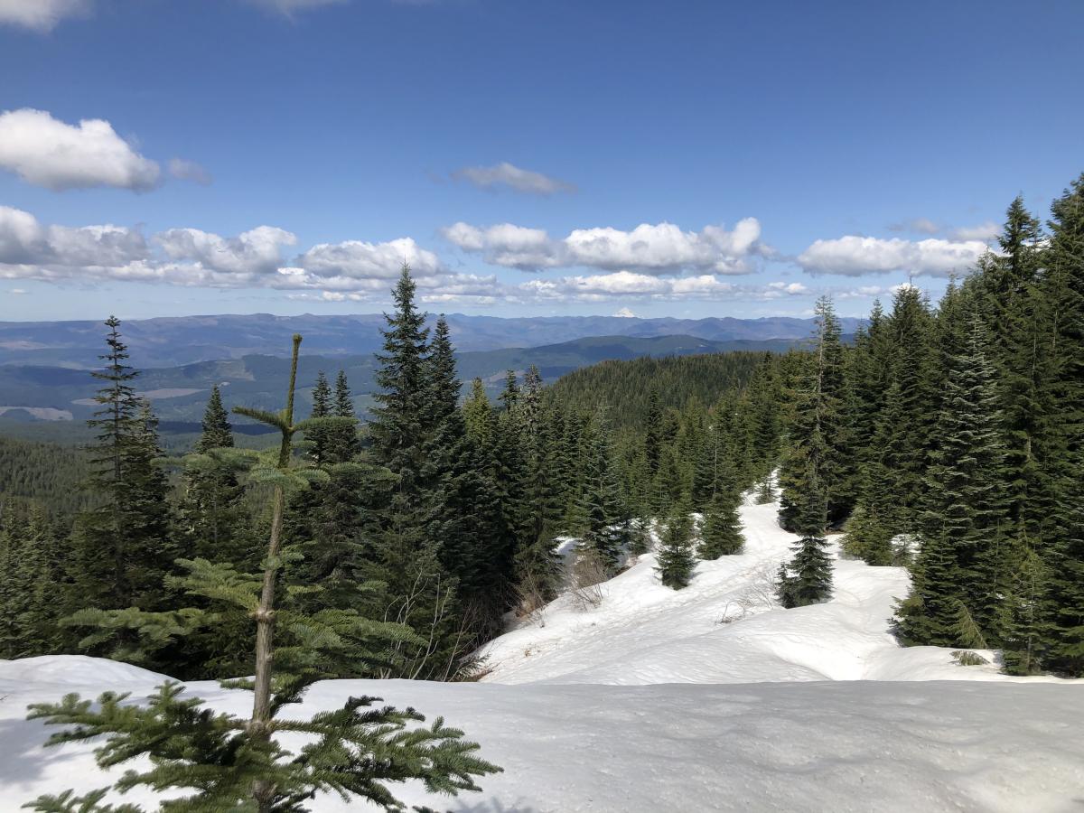 Thomas Creek and Mountain to the North