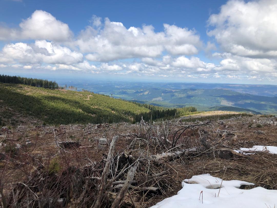 Weyerhauser Cut and Willamette Valley to the West