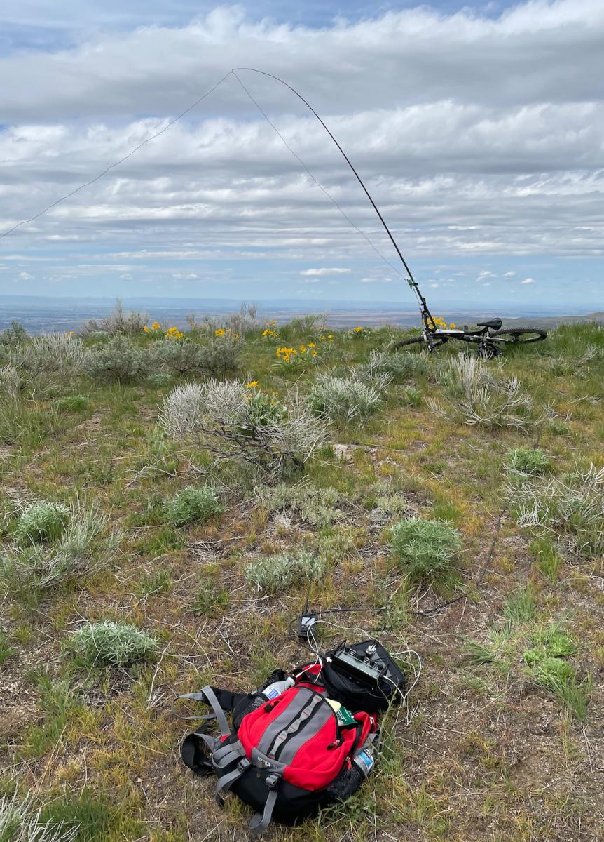 On the Summit