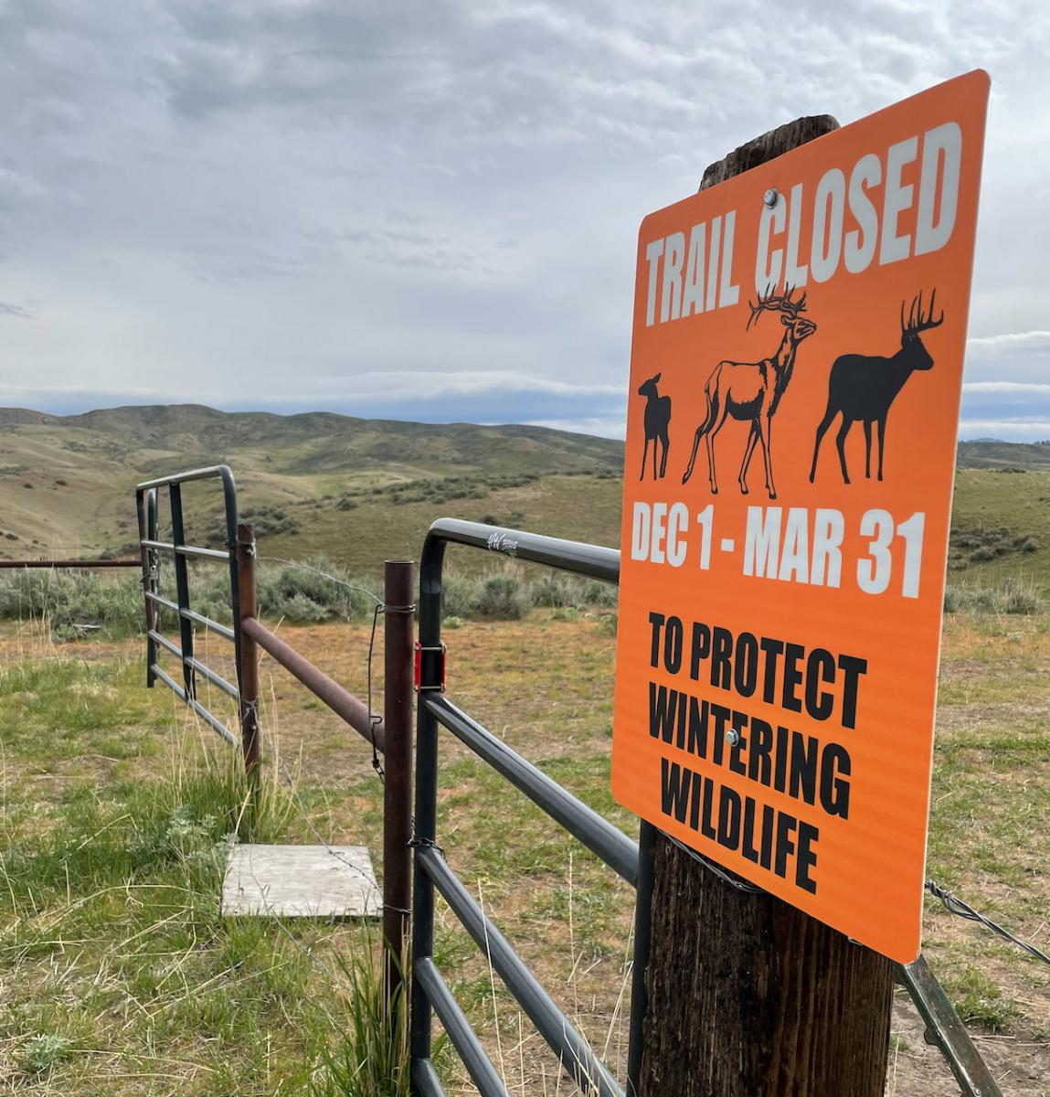 Wintering Wildlife Sign