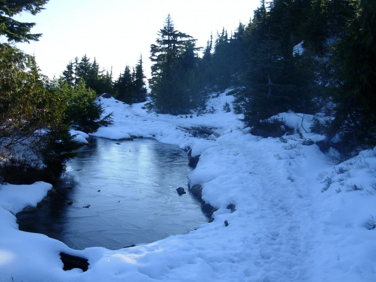 packed snow and ice on trail