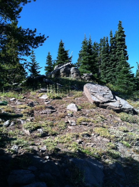 Summit "Rock Pile" of #6001