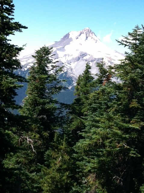 View West of Mt Hood from #6001