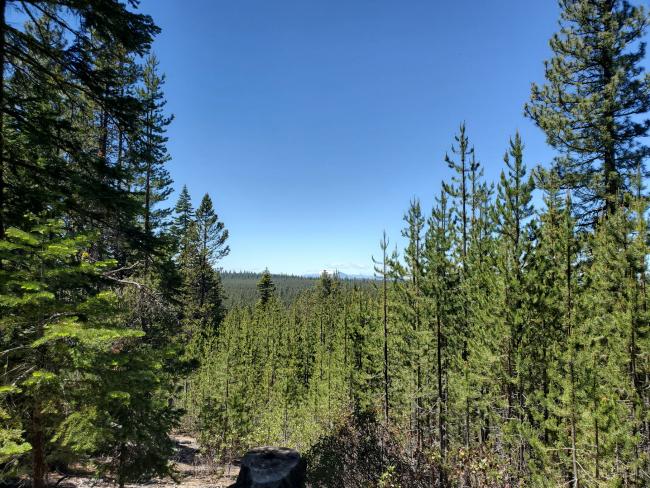 Diamond Peak from my path back down the mountain