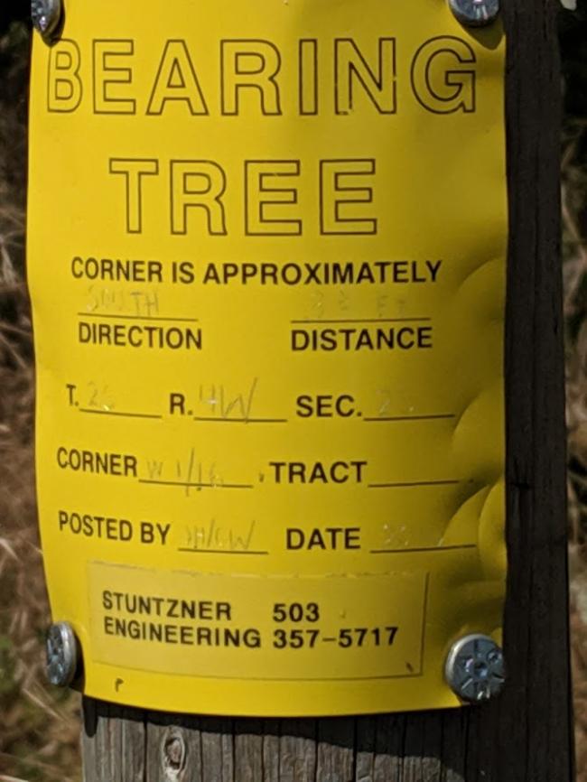 A bearing tree marker indicating the section boundary