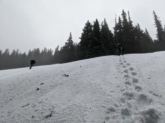 Near the ridge we needed to climb a snow field