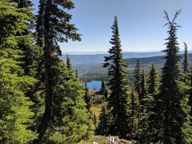 Picture of lake on Whiskey Creek