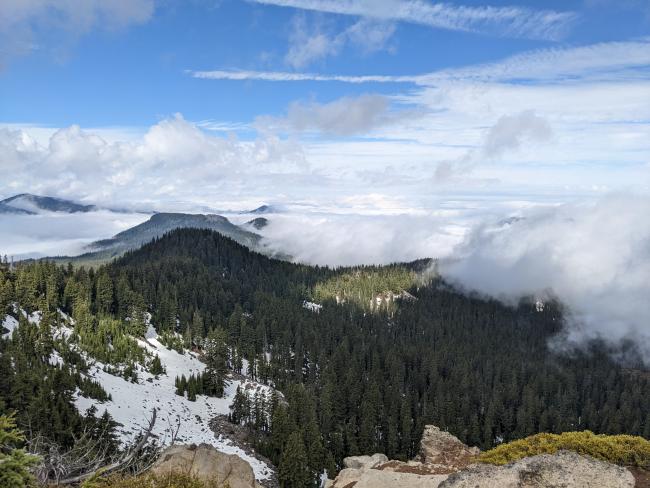 View of clouds in a valley, revealing the forest in places, with patches of snow