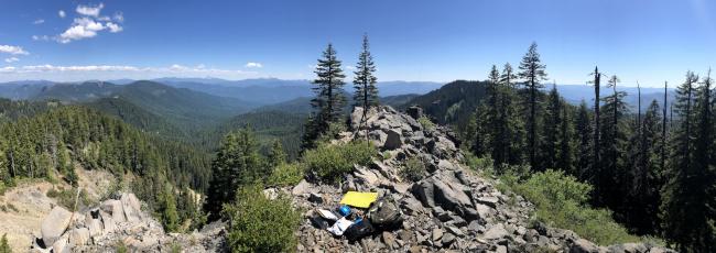 Balm Mountain Summit