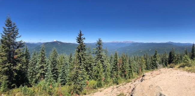 Green Mountain Summit looking north to Mt. Rainier