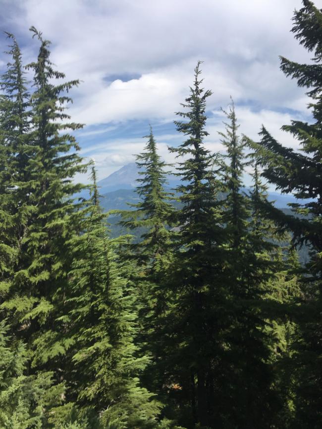View of Mt Hood