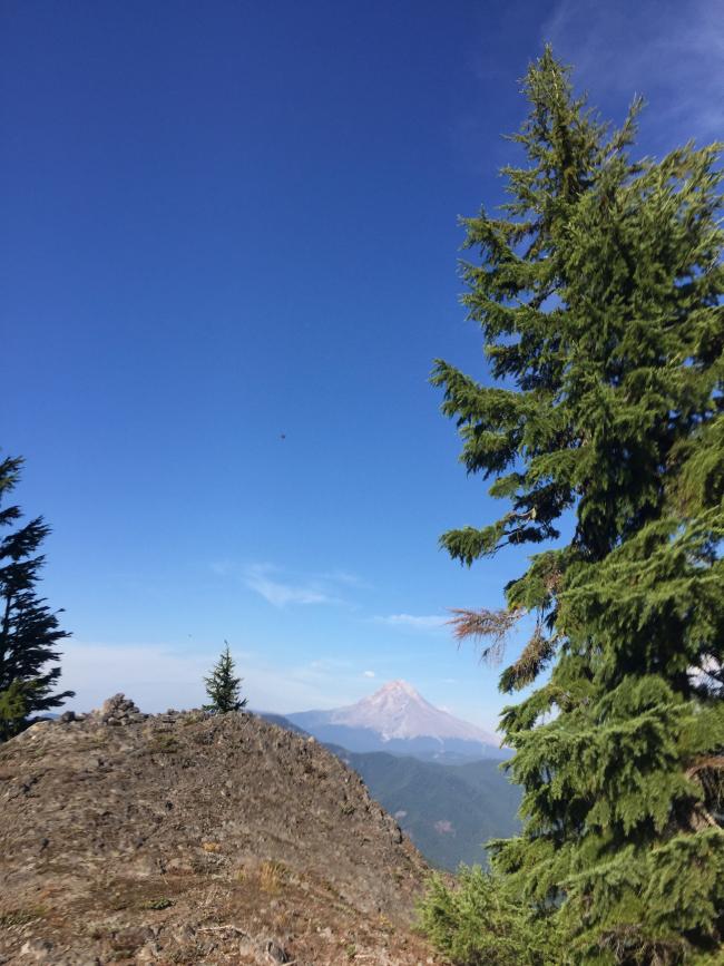 Summit view of Mt Hood