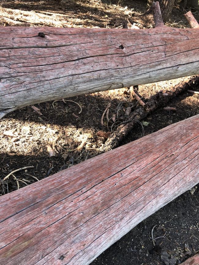 Windigo Butte Red Pumice Painted Logs