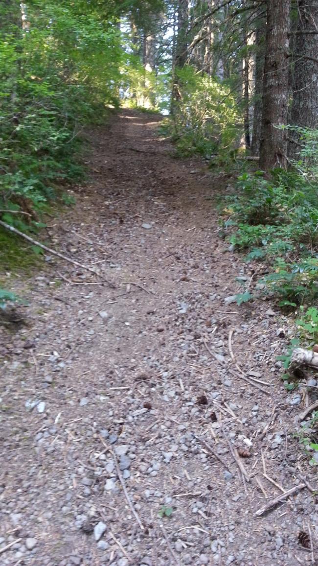 Steep Trail - the trail is not fading into the distance