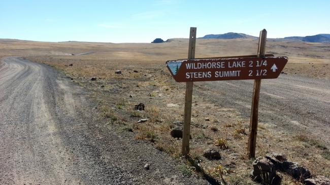 Steens Summit in the distance between the sign posts