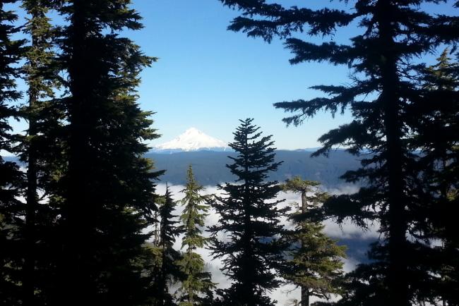 Mt. Hood views