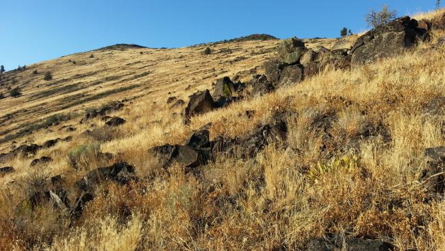 Hogback Mountain on the ascent