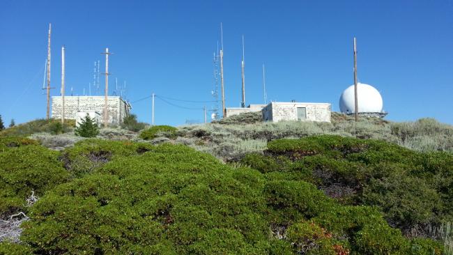 The summit of Hamaker Mountain