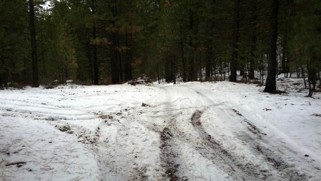 Turn right onto a mountain bike off the 4WD track here