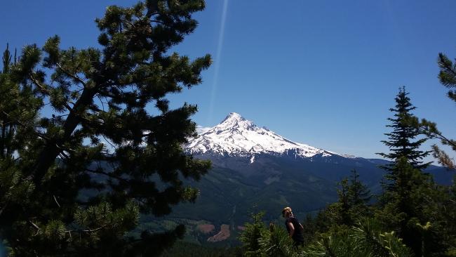 Mount Hood view from Lost Lake Butte summit