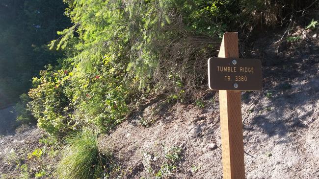Tumble Ridge Trail (3380)