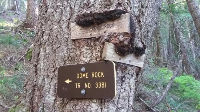 Dome Rock Trail 3381