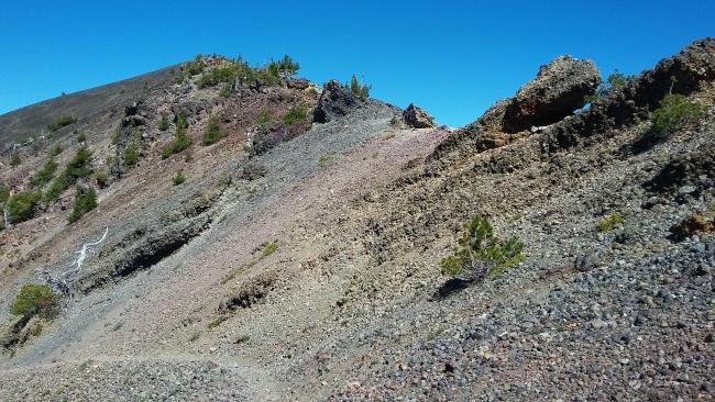 Approaching Mount Bailey summit - note last trees