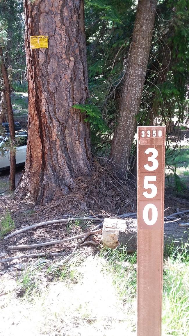 Road 350 and mining claim sign