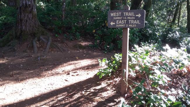 Trail options