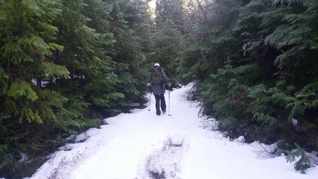 Snowy Road to Trout Creek Hill Summit