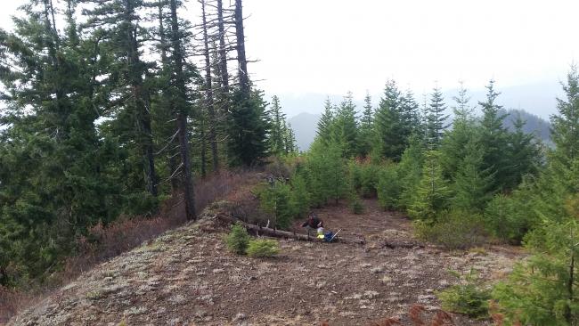 Roland in the summit clearing