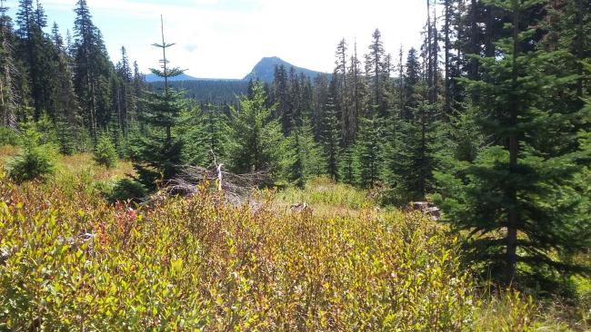 Sawtooth Mountian from West Twin Butte