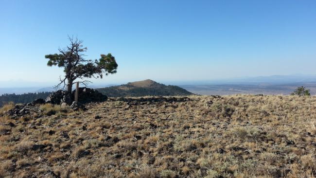 (Tree is gone) Summit of Pine Mountain with Pine Benchmark in the background