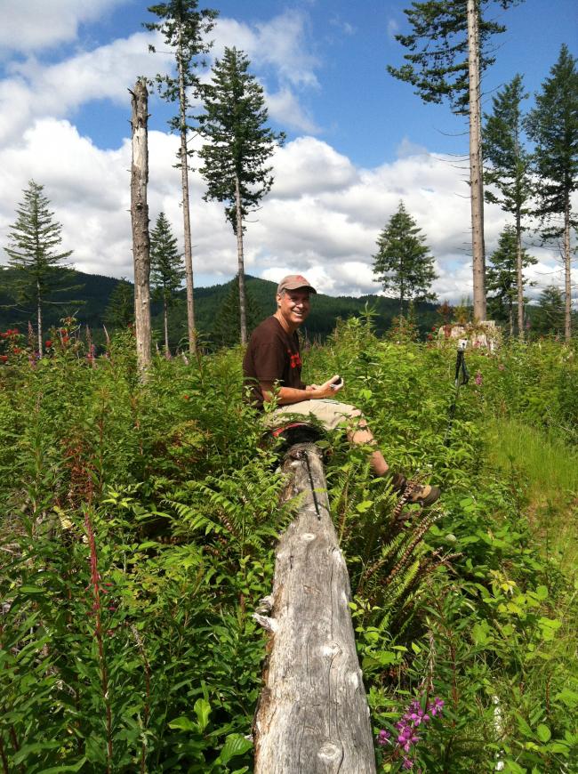 West Tiger Summit